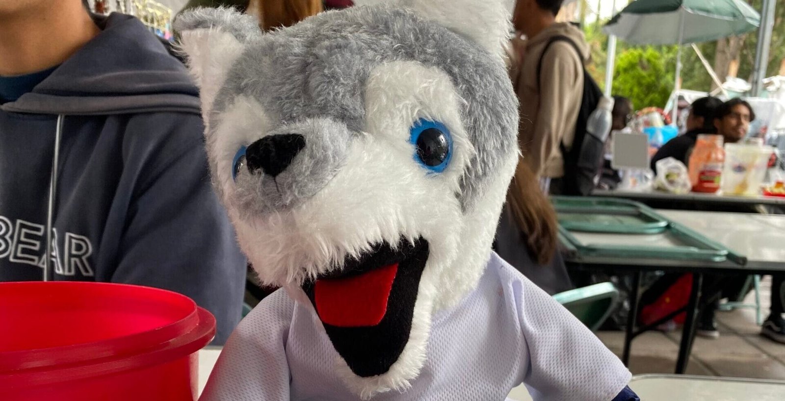 Lobo buap de peluche como insignia de la universidad y de la comunidad que da a conocer el negocio de los estudiantes
